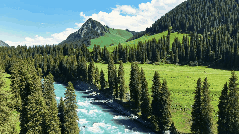 Mengkete Valley Summer